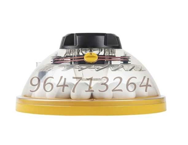 Chocadeira - Incubadora BRINSEA Maxi 24 Digital - tecnologia sem agua