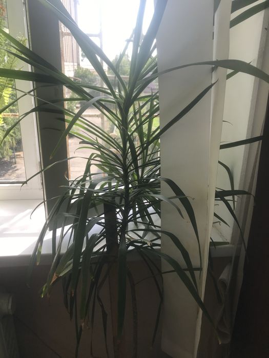 Розборка Audi A4 B5 (1994-2001) 1.9 2.6 1.8 1.6