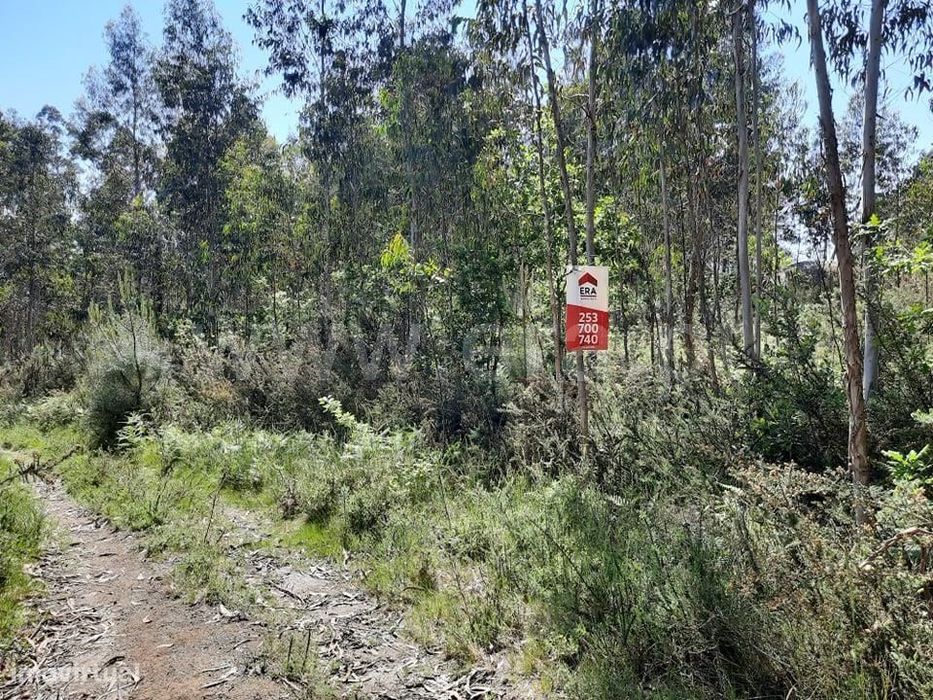 Terreno em Arões São Romão