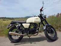 Mash seventy five Brown edition