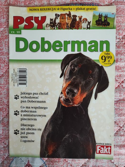 Doberman Kolekcja Psy Wszystko o Rasie