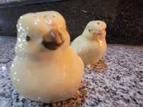 Porcelanowy zestaw na przyprawy Gräfenthal