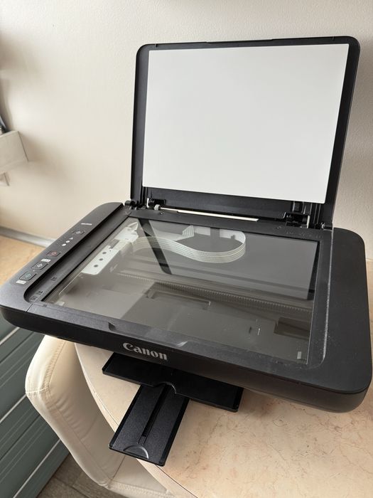 Drukarka Canon PIXMA MG2550S