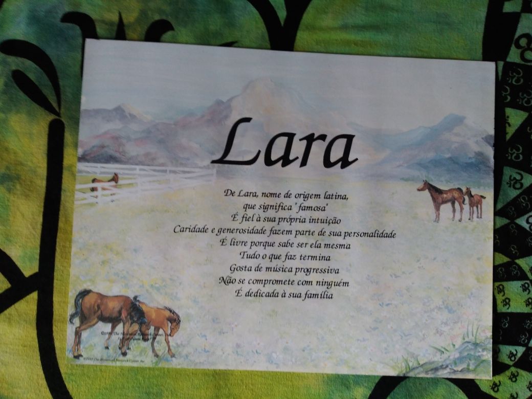 Quadro Significado do Nome