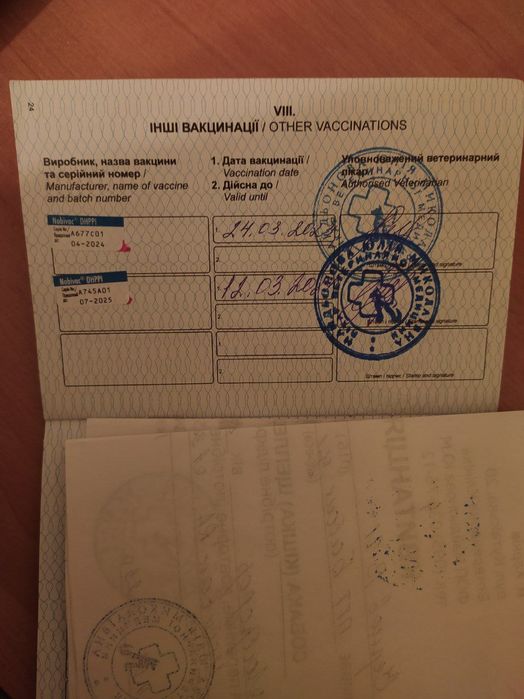 Потрібна наречена