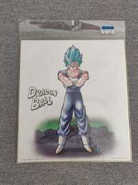 Shikishi DragonBall