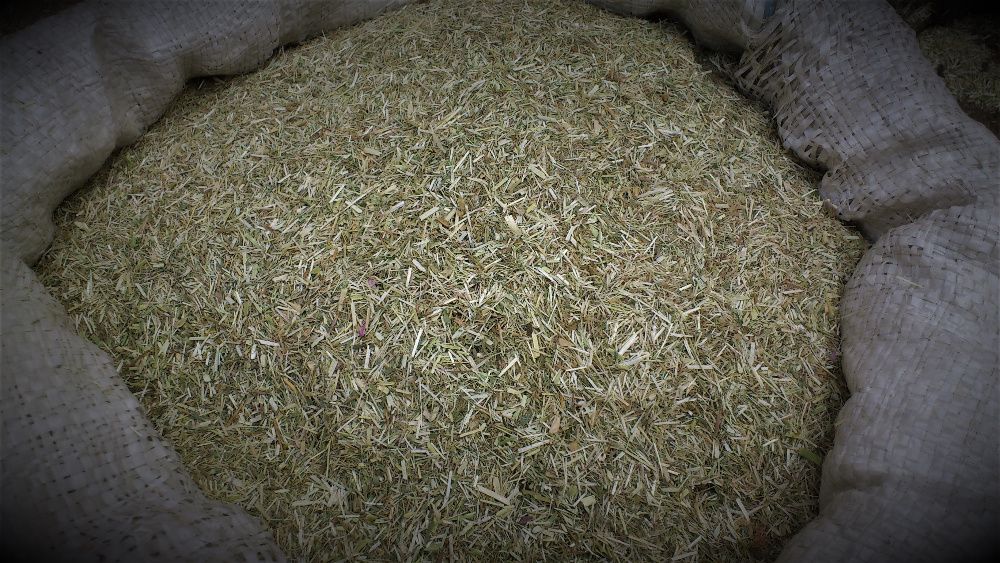 Измельчитель сена, соломорезка, зерна, дробилка 4 кВт 220/380 600 кг/ч