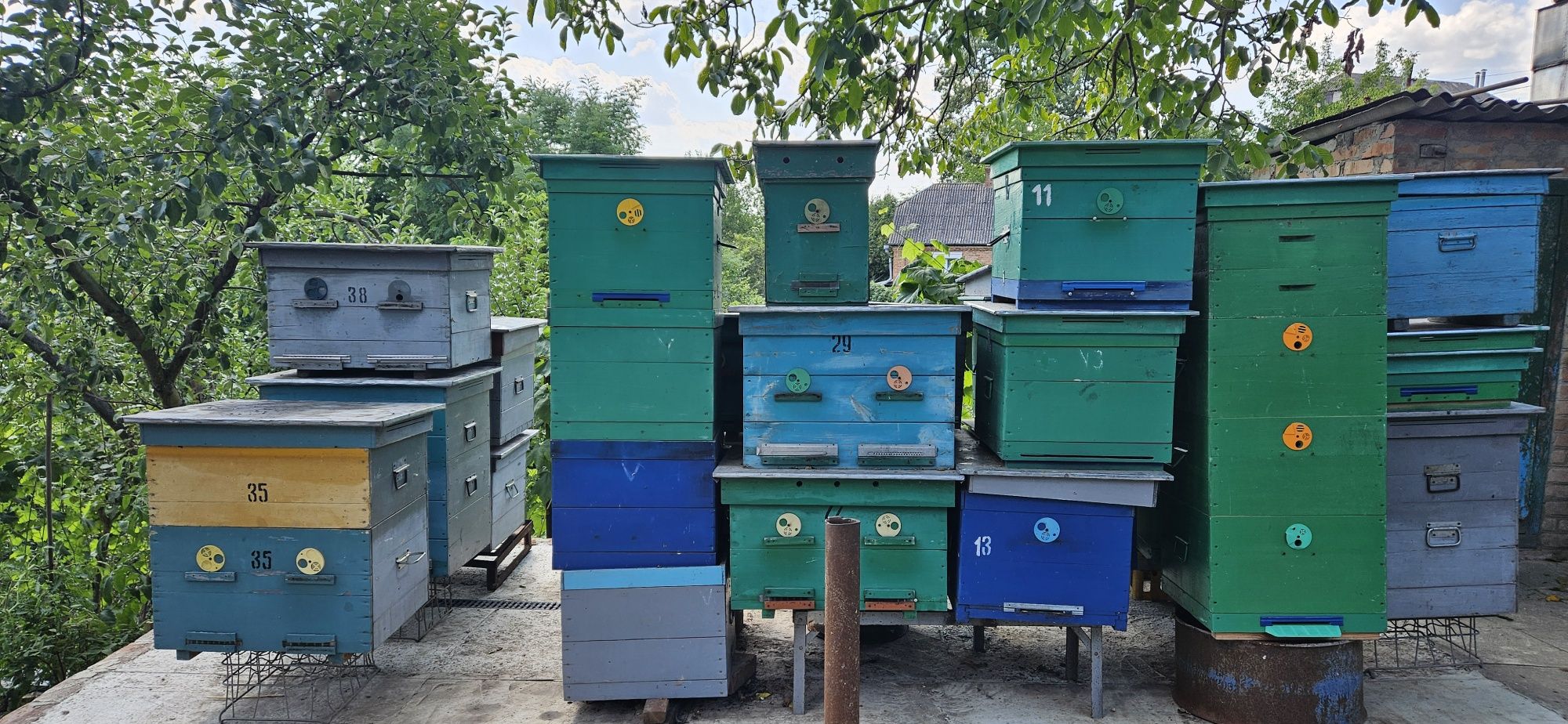 Продам вулики для  бджол