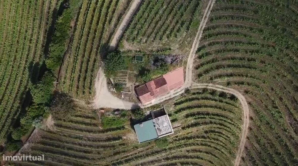 Quinta de Charme no Coração do Douro – Uma Oportunidade Única