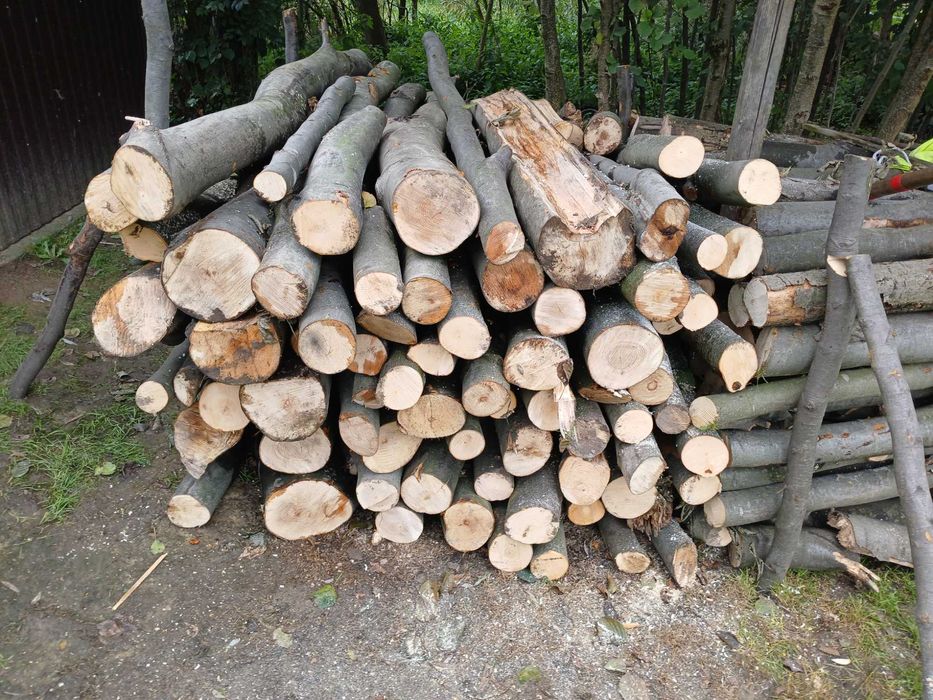 Drewno bukowe do kominka