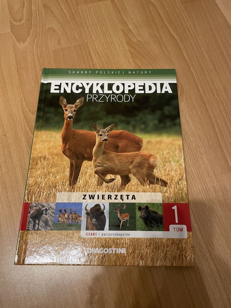 Encyklopedia Przyrody