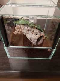 Terrarium + mata grzewcza, zestaw w idealnym stanie