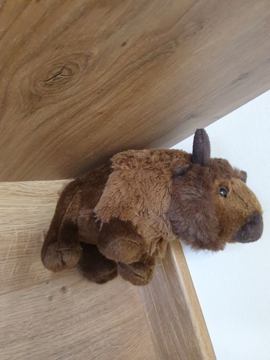 Maskotka dla dzieci żubr