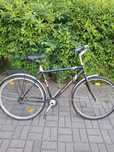 Rower City Cruiser
