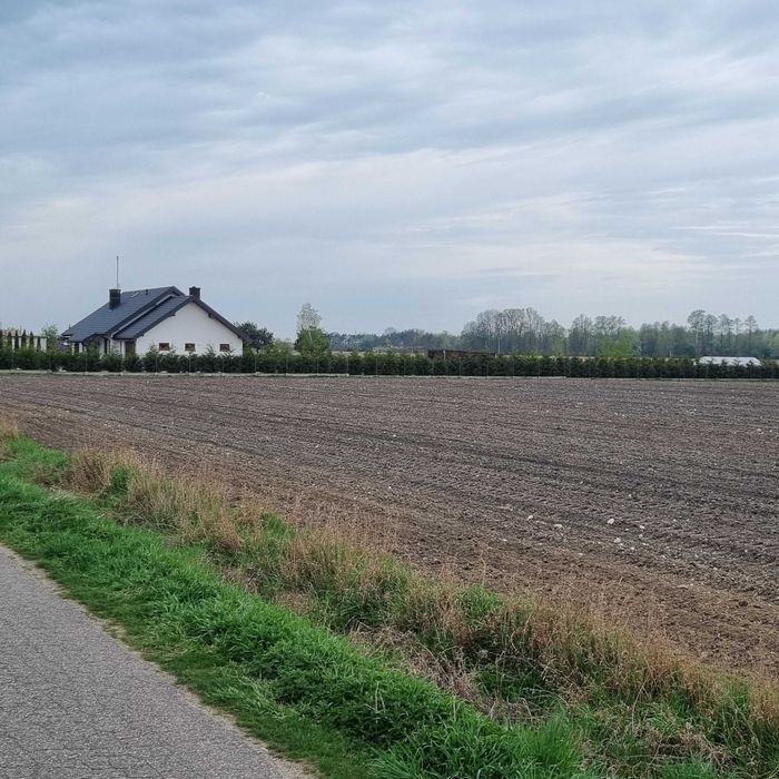 Działka 3000m2 Ćwiklinek