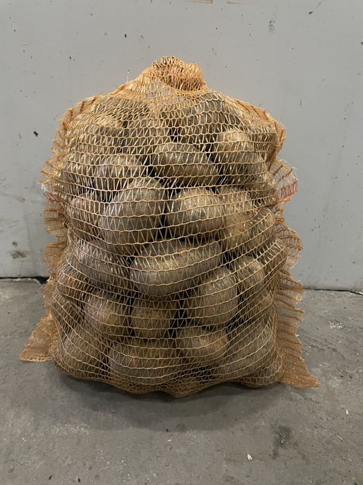 Ziemniaki żółte czerowne