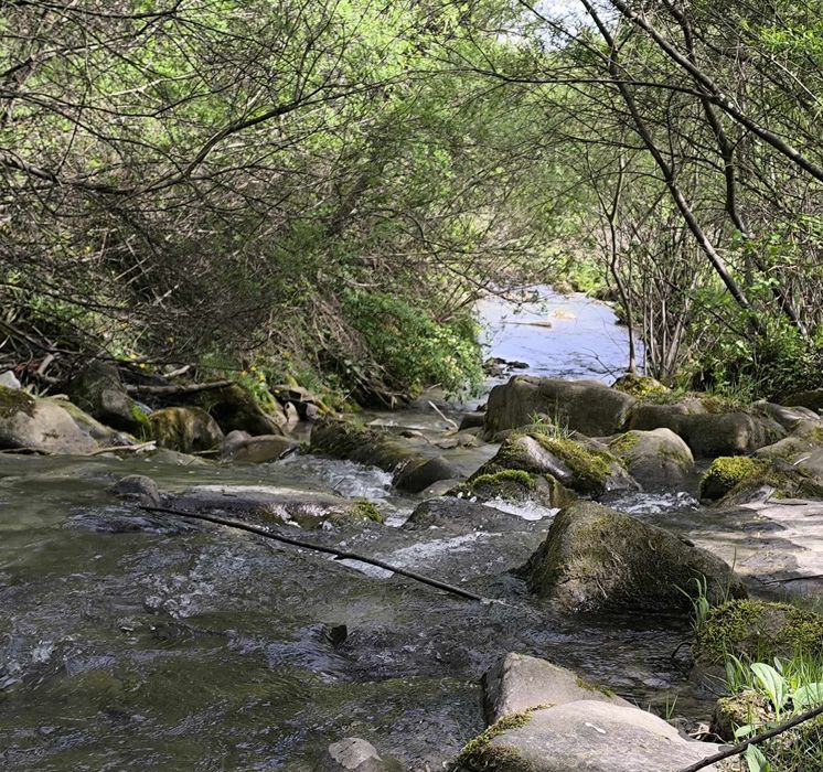 pokoje gościnne w Szczawniku, Muszyna, Szczawnik, Krynica Zdrój
