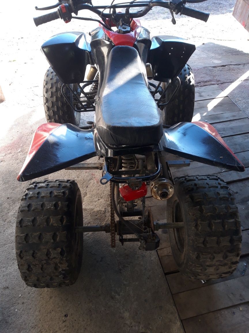 Quad 110 1+ wsteczny