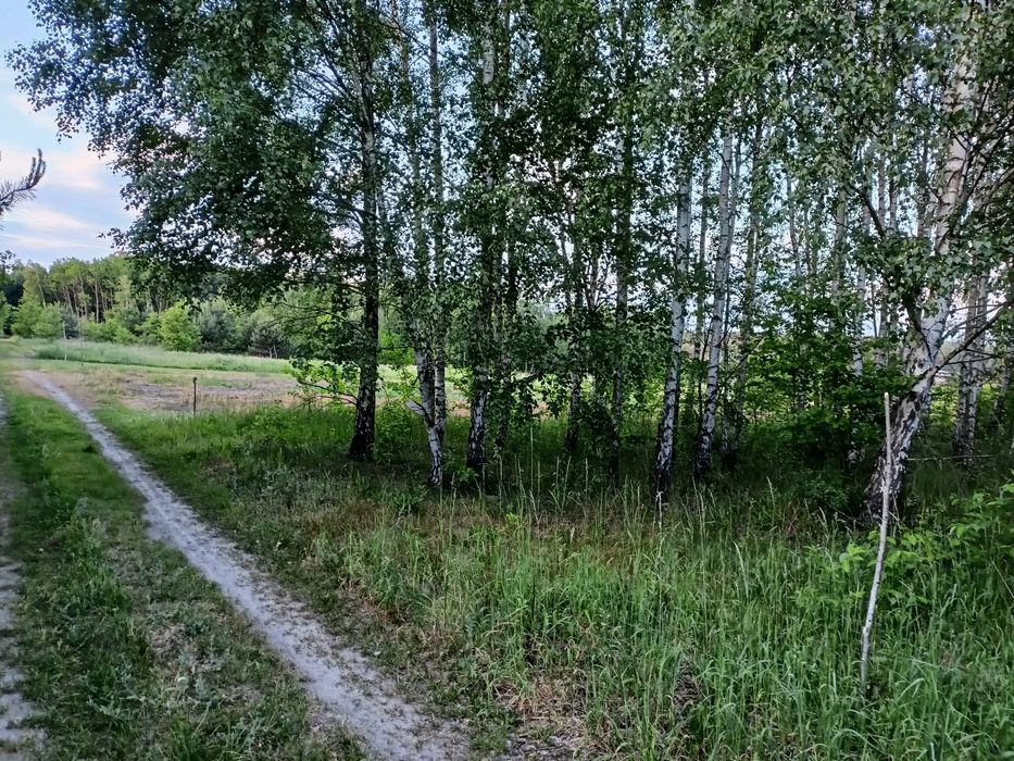 Działka z warunkami zabudowy 2189m