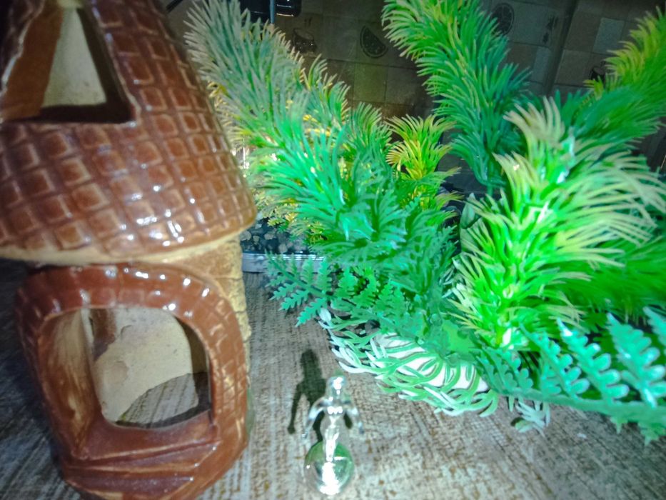 Акваріум 7 л з фільтром і декором