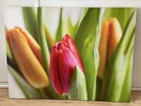 Obraz nowoczesny tulipany stan idealny