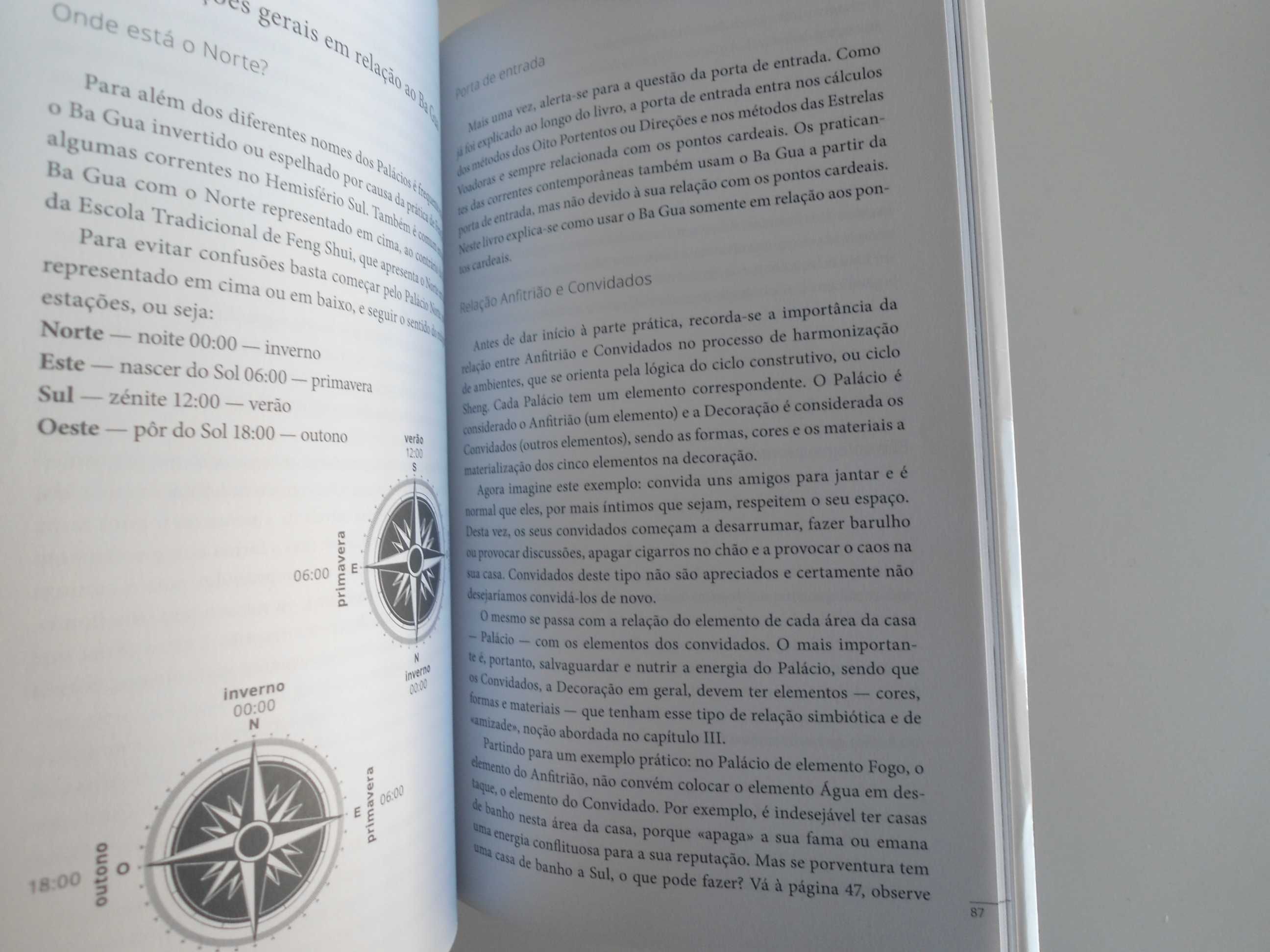 Uma Introdução ao Feng Shui-Vivemos em Palácios-Suzana Mendes