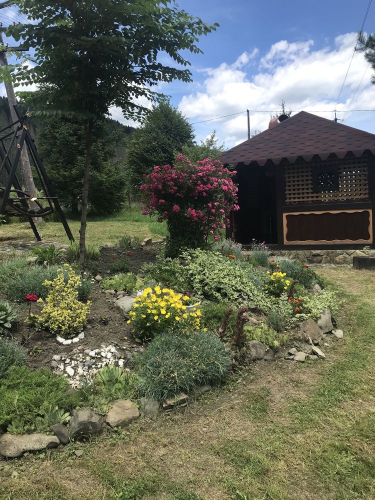 Котедж Явірницький