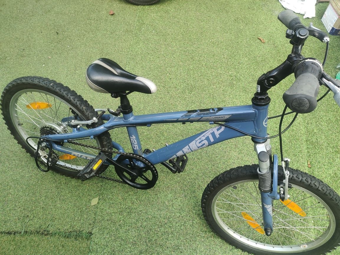 Rower dziecięcy Giant STP 20