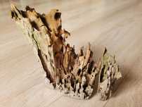 naturalny nadpróchniały fragment pnia korzenia do akwarium terrarium
