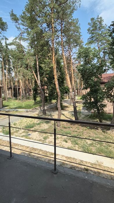Апартаменты в Орловщине Дом возле реки