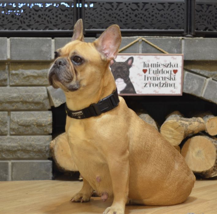 Найдобріша дівчинка