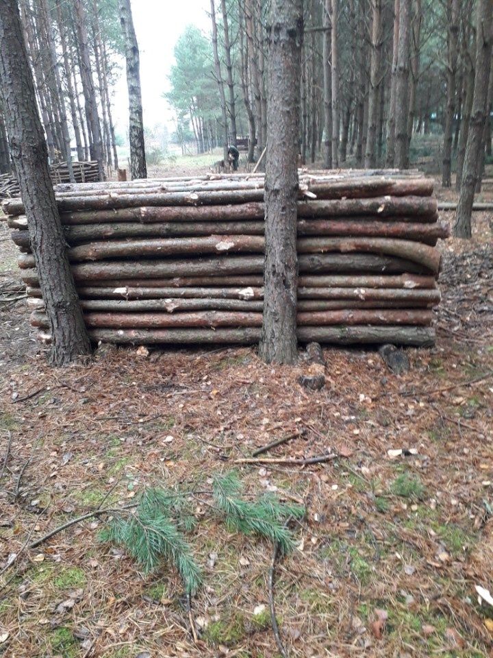 OKAZJA. Drewno opałowe sosnowe.