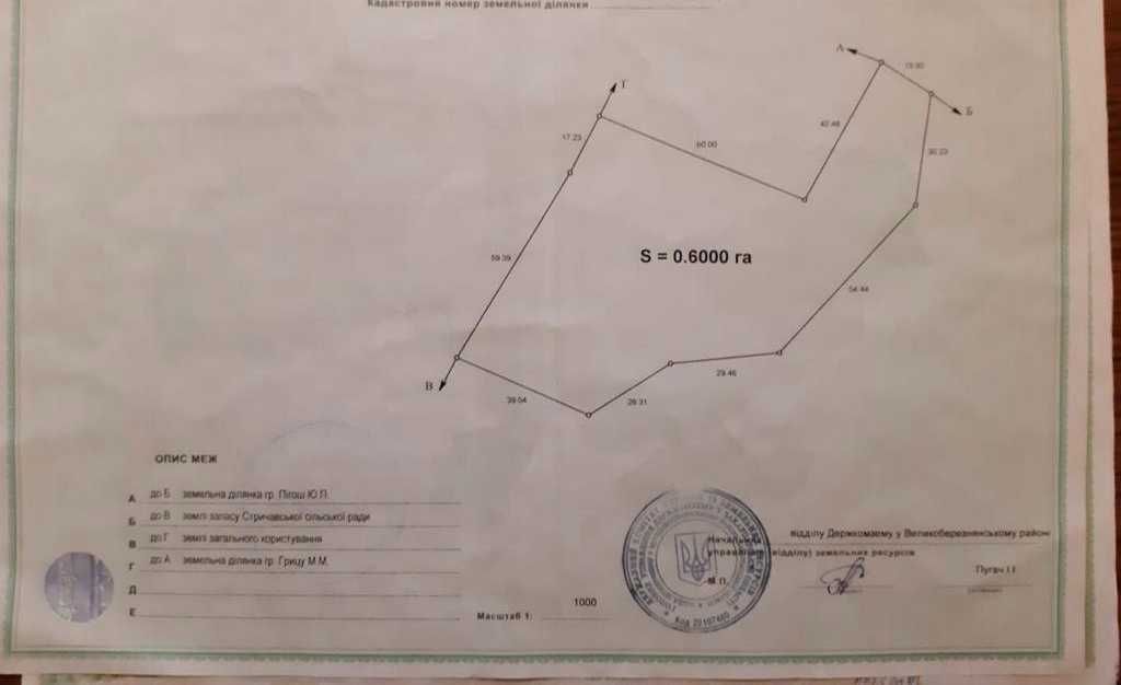 Красива ділянка в Карпатах з мінеральним джерелом