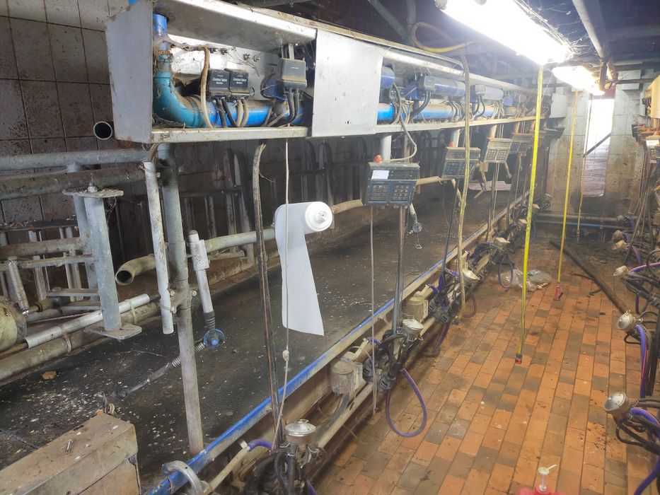 Hala udojowa Alfa Laval 2x7 dla bydła