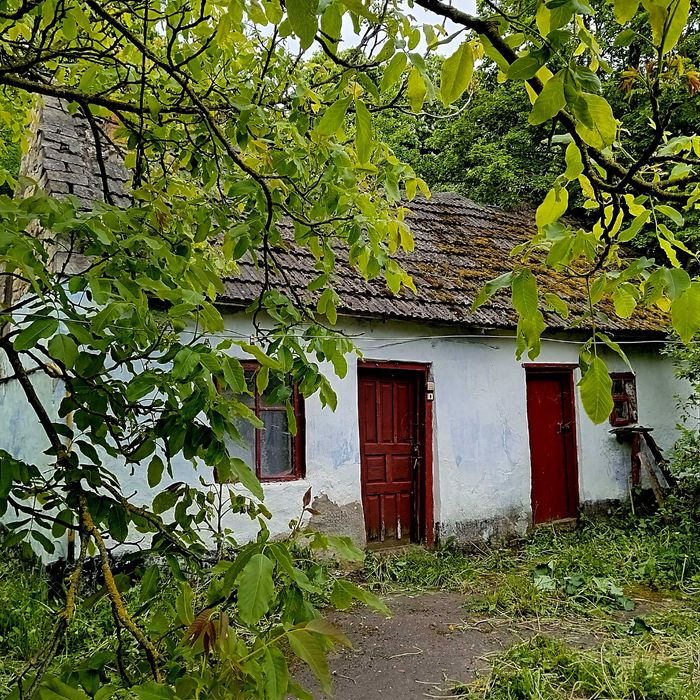 Продається будинок в с. Куропатники