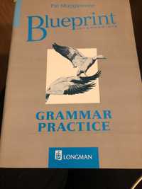 Blueprint intermediate Grammar Practice