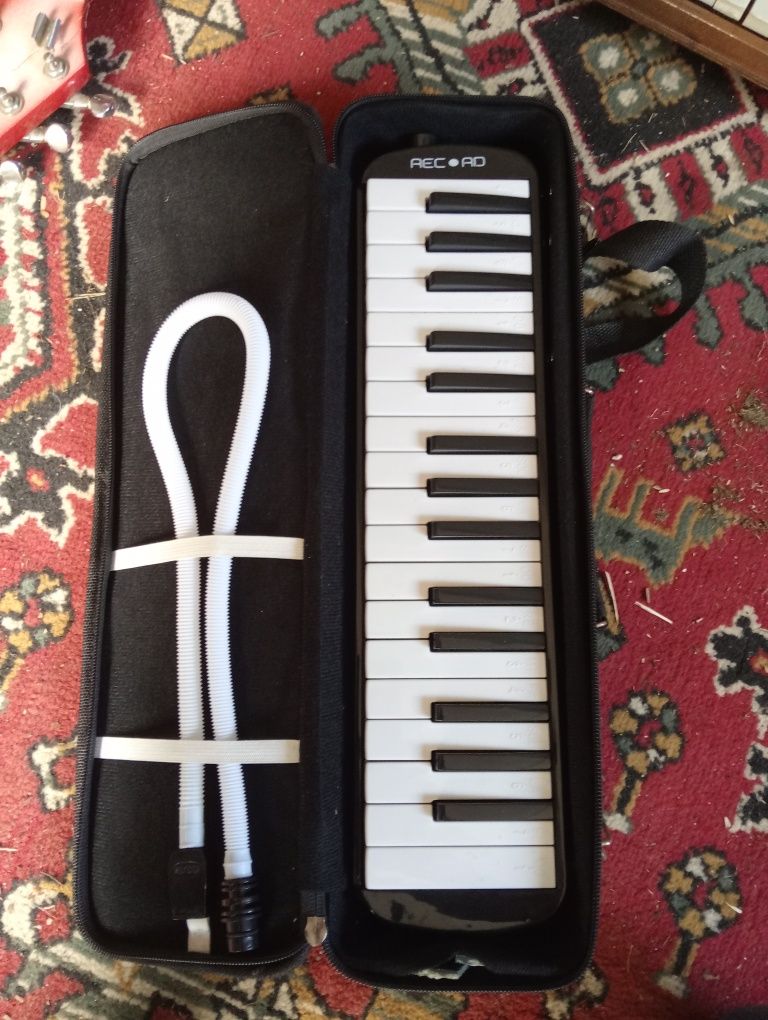Vários instrumentos musicais
