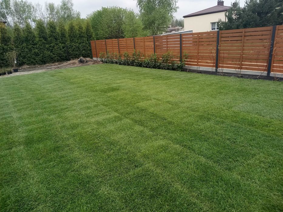 Trawa z rolki, trawa rolowana, zakładanie trawników