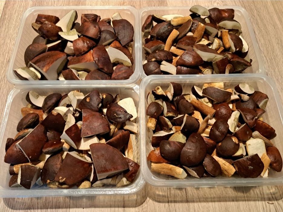 Sprzedam świeże grzyby