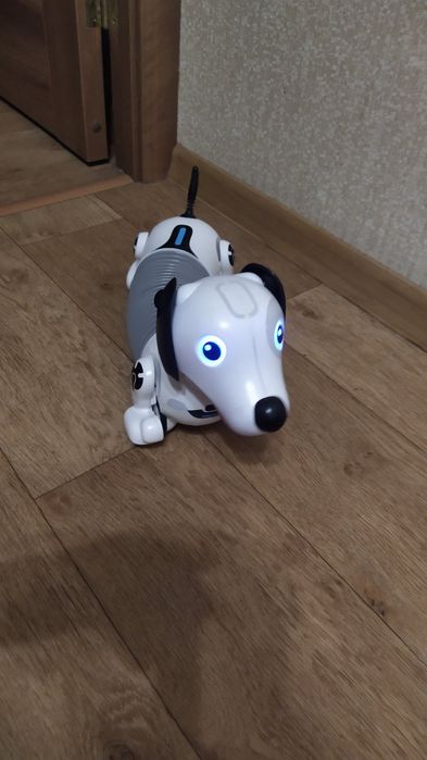 Игрушка робот-собака Silverlit DACKEEL ( такса)