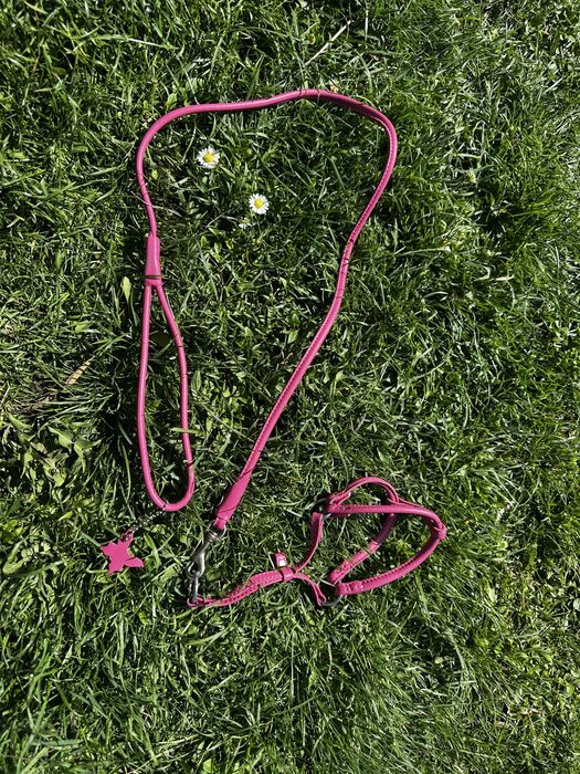 Прводок для кота