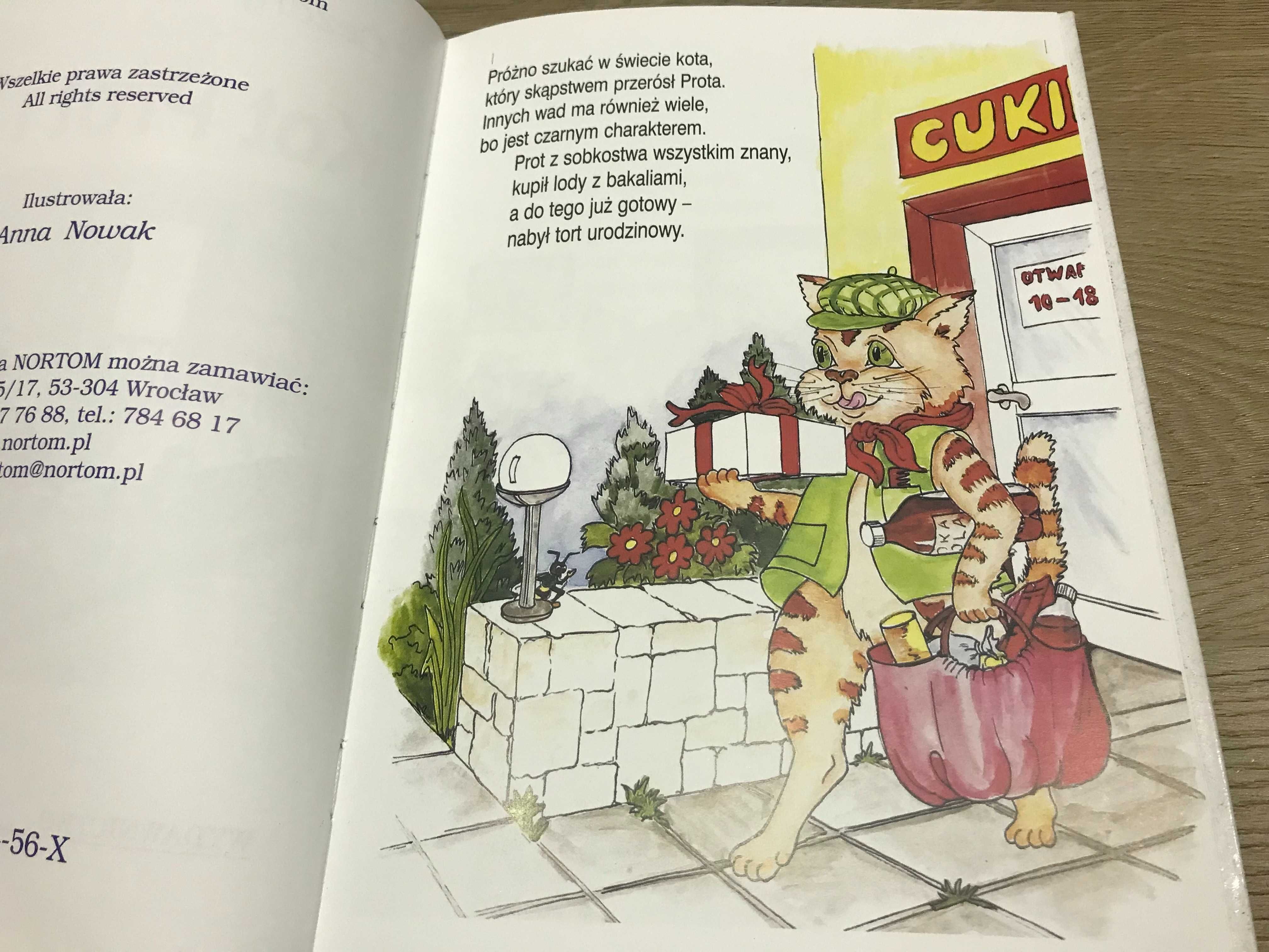Książka dla dzieci 'Kot Psot i osy' - unikat