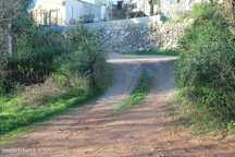 Terreno  para venda