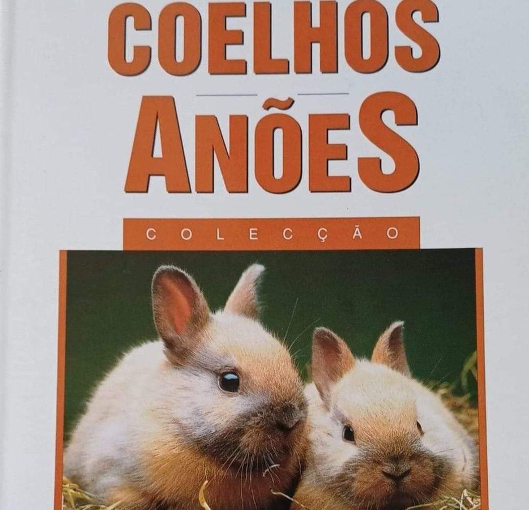 Coelhos Anões Livro Novo