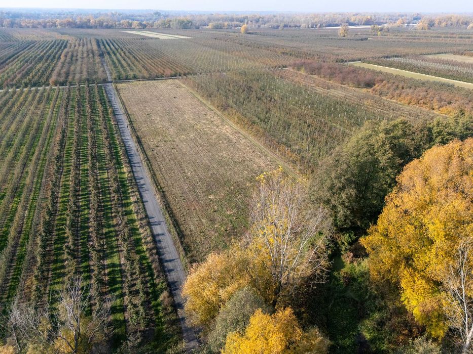 Działka 8000m2 z dostępem do rzeki 35 min od Wwy