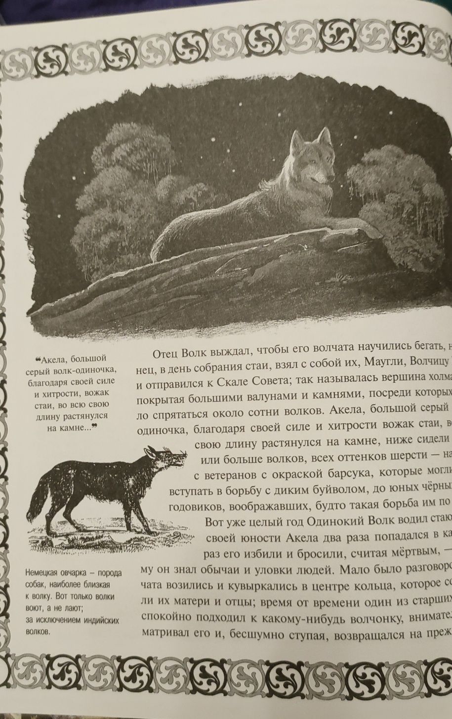 Дитячі, підліткові книги. Книга джунглей.