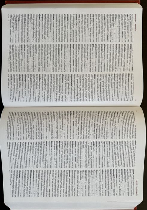 Dicionario da lingua portuguesa