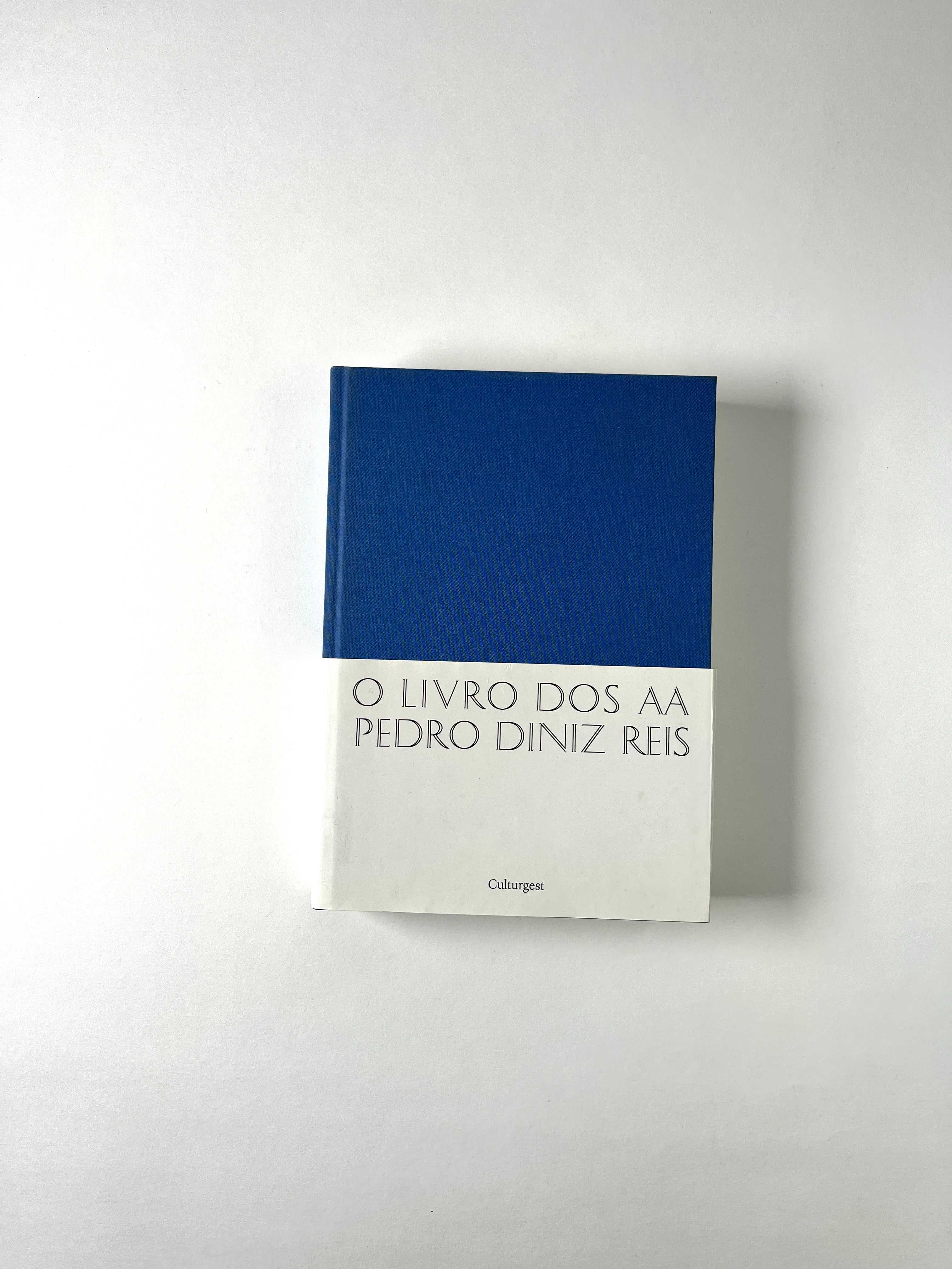 Pedro Diniz Reis – O Livro dos AA Culturgest 2010