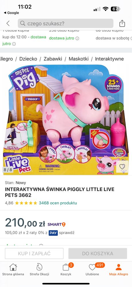 Little Live My Little Piggy Interaktywna Świnka