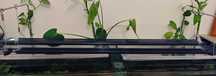 Luminárias aquário Hygger 957 e Fluval aquasky 2.0